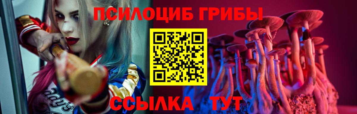 Галлюциногенные грибы GOLDEN TEACHER  Галлюциногенные грибы Psilocybine cubensis  Вход с VPN  Костомукша 