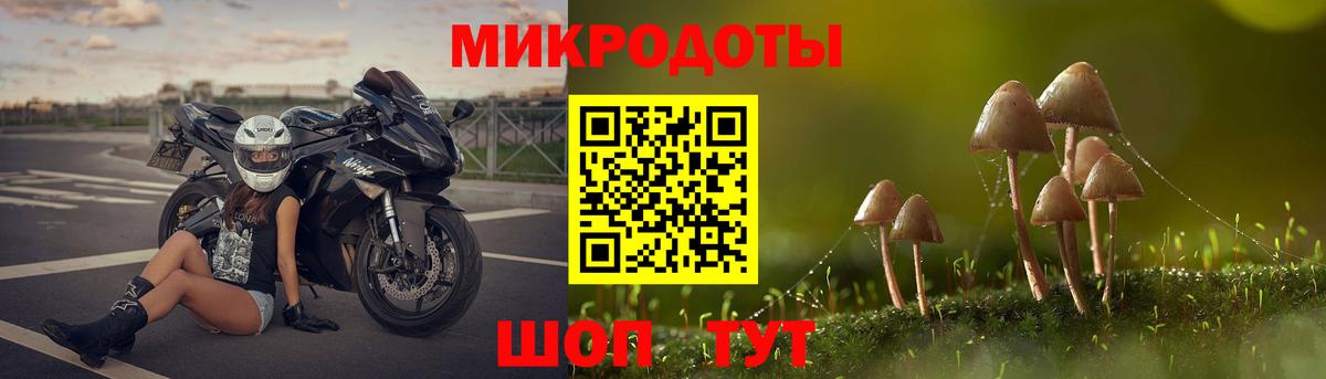 Галлюциногенные грибы Psilocybine cubensis Костомукша